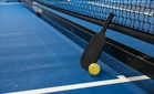 Late to the game: S.Korea now embracing pickleball, with celebs including BTS members joining in