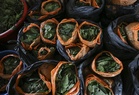 Police bust ketum operation in Pulau Tioman, arrest man and seize 300 packets