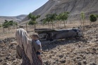 Iran fires missiles at US bases in Jordan and Bahrain as regional tensions surge