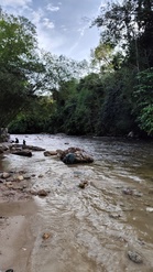 Diarrhoea, vomiting claims spark probe at Janda Baik river, Pahang Health Dept steps up checks