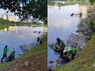 Mass fish kill in Danau Kota: DBKL explains why heavy rain may be to blame