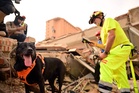 Four‑legged rescuers bring hope — and moments of joy — amid devastation in Venezuela