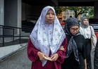Woman fined RM500 after admitting using criminal force against Perak Sultan during state-level National Day event