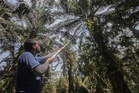 Why we celebrate migrant trees but fear migrant people — Ahmad Ibrahim