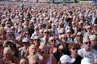 Pitbull fans go ‘bald’ in London to set Guinness World Record