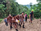 One wrong fall: Tree-felling job leaves worker in Sabah with serious head injuries