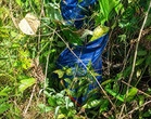 Man’s hunting trip in Sabah forest ends in death, two companions face murder probe as police seize homemade guns