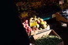 Billions priced out of nutrition as UN says cost of healthy diet soars 25 per cent