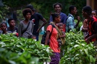 Pahang asks agencies to review solution for Orang Asli land dispute in Kampung Sungai Cot