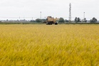 Agricultural TVET graduate employment rises to 76pc, still below national average