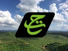 RCI presses for quicker action on Tabung Haji investigations