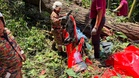 Four killed, child injured after tree crushes Ford Raptor in Bentong