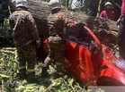 Maran Umno Youth chief, wife and child among four killed in Bentong crash