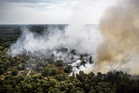Forest fire spreads in Dutch nature reserve