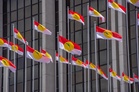 Perlis Umno gears up to contest all seats solo at next election