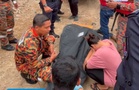 Seven-year-old Indonesian boy found drowned after falling into river in Subang Jaya