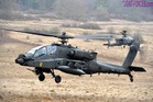 Two US soldiers killed in Texas Army helicopter crash