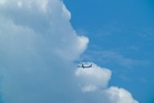 Russia keen to get direct flights to Malaysia back on track