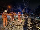 Six including two children survive falling tree crash in Melaka
