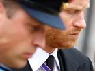 Why now? Where will they live? And what will William do? The questions hanging over Harry and Meghan’s shock UK return
