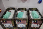 From midnight to noon, Hospital Tunku Azizah welcomes 12 Merdeka babies including twin girls