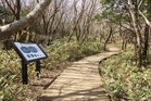 Jeju missing persons scandal: Police say South Korea cop closed missing persons cases to avoid work