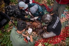 Indonesia rescues second orangutan mother and baby as wildfires destroy Kalimantan habitat