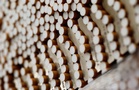 Sabah Marine Police seize untaxed cigarettes, liquor worth RM5.37m