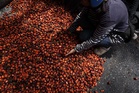 MPOC sees Malaysia palm oil exports steady at 16 million tonnes in 2027