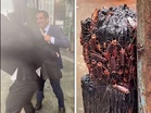 Bangkok floods flush out cockroaches — and they are not staying put (VIDEO)