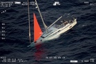 ‘Loud thud’: Sperm whale rams yacht in South Pacific, forcing four sailors into overnight ordeal