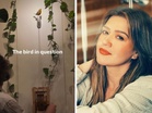 Kelly Clarkson vs the New York shop that wouldn’t sell her a bird