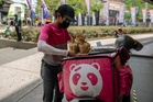 Civil servants get 20pc off annual foodpanda pandapro membership under Rahmah incentive to ease living costs