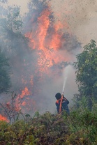 Indonesia’s burned area 38pc higher than 2019 as hotspots continue to rise