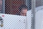 Man accused of targeting Australian MP Helen Haines appears in court