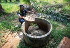Perak Perhilitan monitoring elephant herd after crop destruction complaints
