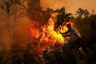 Malaysia keeps Indonesia firefighting aid offer open, no local companies linked to forest fires