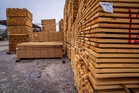 Plywood, paper and fridges: Trump lifts some Canada tariffs two weeks before US midterms