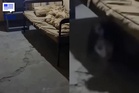 Video Seram Bawah Katil Buat Netizen Tak Senang Duduk