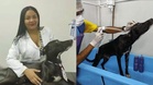 Anjing Jalanan Masuk Sendiri Klinik Veterinar, Tunjuk Kaki Cedera Mohon Bantuan
