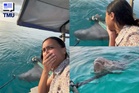Dugong Jinak Jadi Tarikan Pelancong, Mawardi Curi Perhatian Di Perairan Alor