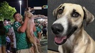 Sebulan Dicari, Anjing Kesayangan Akhirnya Ditemui Dalam Sambutan Kemenangan Mexico