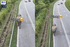 Rakaman Dron Sulong Berjalan Pulang Ke Kelantan Curi Perhatian