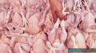 Gudang Proses Ayam Diserbu Dipercayai Beroperasi Sejak 20 Tahun Lepas