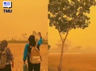 Langit Kalimantan Bertukar Jingga, Kebakaran Hutan Masih Berlarutan