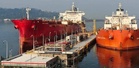 329K barrels of diesel arrive from Malaysia — DOE