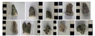 Uncovering pre-colonial history and climate impact