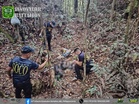 DNA test confirms body of high-ranking NPA leader in Samar