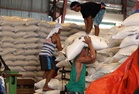 Rice supply precarious, says food autonomy group