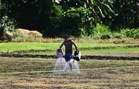 DOH warns against cramps, exhaustion, stroke as heat index rises